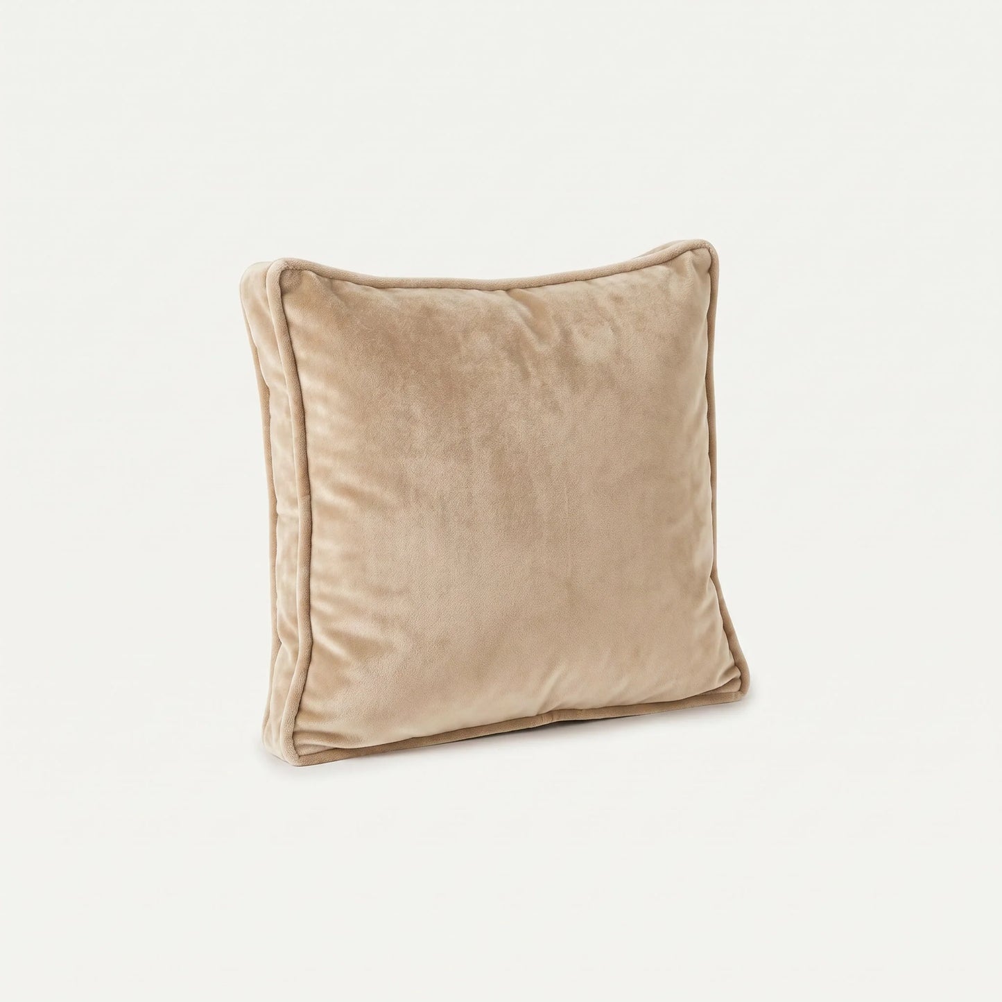 Panini Kissen 40x40